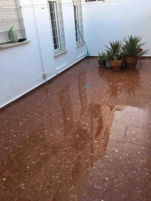 Casa Soleada En Calle Tranquila Seville Exterior photo