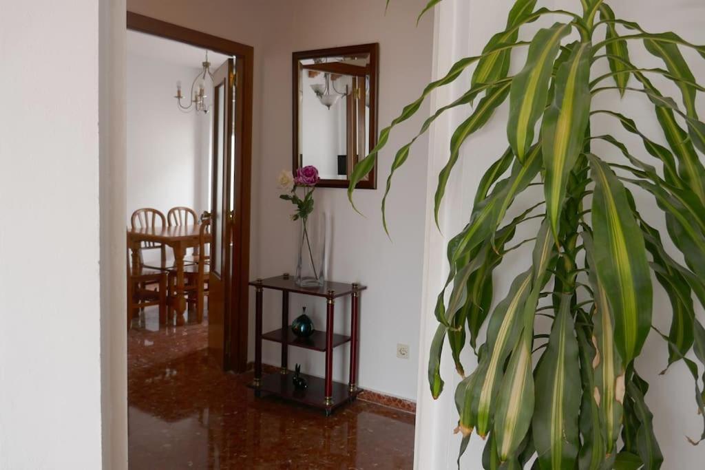 Casa Soleada En Calle Tranquila Seville Exterior photo