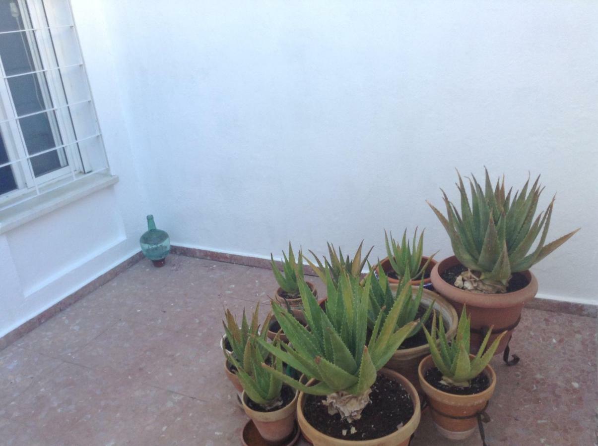 Casa Soleada En Calle Tranquila Seville Exterior photo